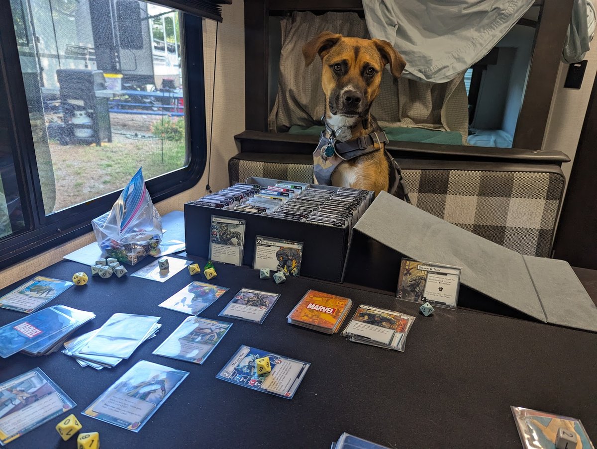 Marvel Champions and Banjo went everywhere we went this year